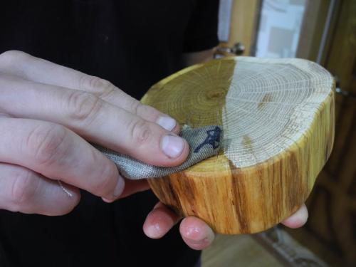 Чем покрыть спил дерева. Спилы дерева в интерьере