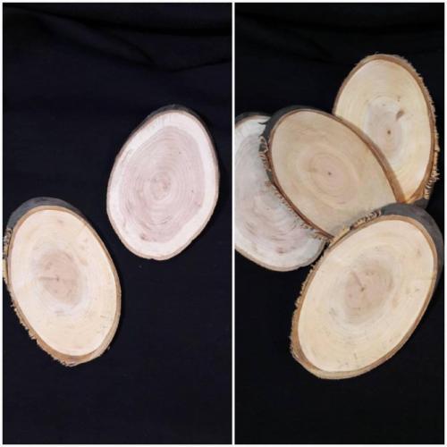 Спил дерева для столешницы. Где взять спил?