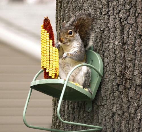 Декор для сада своими руками. Необычные украшения для сада своими руками (100+ идей): оригинальные задумки и пошаговая реализация