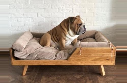 53 лучших изделия из дерева для начинающих. Особенности работы с деревом 18 53 лучших изделия из дерева для начинающих. Особенности работы с деревом 18