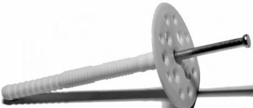 Гриб для эппс. Виды