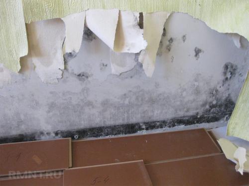 Утепление стен минватой снаружи и изнутри. Разновидности минеральной ваты 10