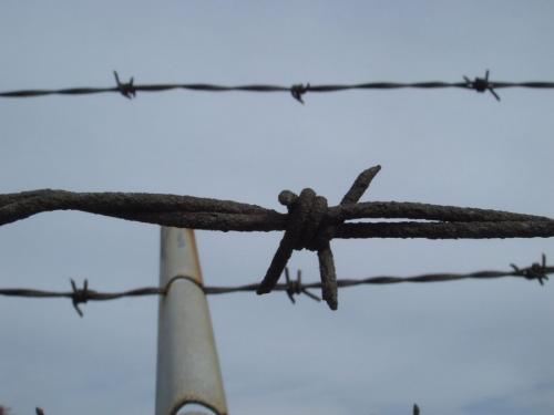Колючая проволока на забор. Все виды колючей проволоки – типы, область применения, особенности производства и монтажа