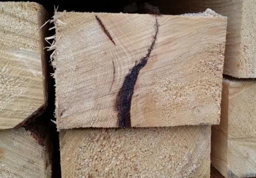 Какие породы дерева используют в строительстве. Сосна 03