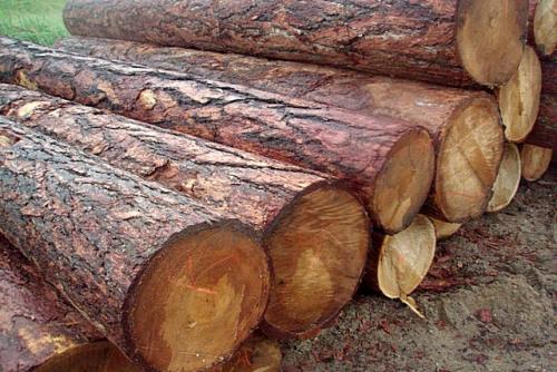 Как выбрать древесину для постройки дома. Оцилиндрованное бревно 04 Как выбрать древесину для постройки дома. Оцилиндрованное бревно 04