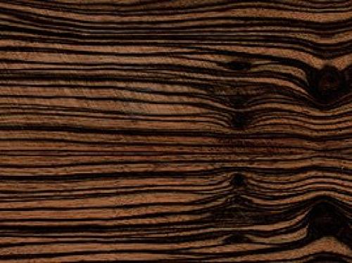 Породы древесины для строительства. Сосна 12