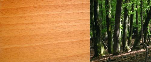 Породы древесины для строительства. Сосна 04