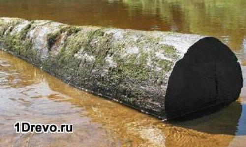 Дом из дуба. Преимущества древесины дуба