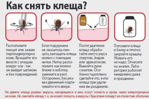 Как крепить дин рейку на монтажную панель. DIN-рейка —, что это
